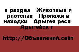  в раздел : Животные и растения » Пропажи и находки . Адыгея респ.,Адыгейск г.